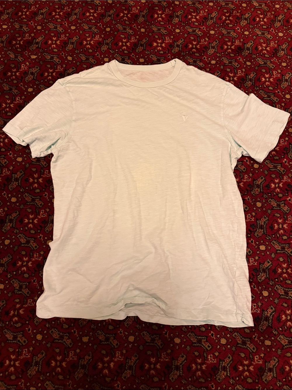 American Eagle Outfitters Men's Crewneck Tee in Pale Mint